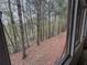 View through a screened porch showcasing a wooded area with tall trees and natural ground cover at 323 Seasons Pkwy, Norcross, GA 30093