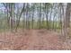 Undeveloped land with trees at 657 Swans Landing Dr, Dacula, GA 30019