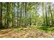 View of a grassy backyard surrounded by tall trees, offering a private outdoor space at 3088 Mount Tabor Church Rd, Dallas, GA 30157