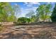 Large, well-maintained backyard featuring a custom stone pad and mature trees at 2265 Pemberton Pt, Buford, GA 30519