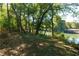 Scenic view of a lush backyard leading to the tranquil river, nestled among mature trees offering privacy at 2167 W Wesley Nw Rd, Atlanta, GA 30327