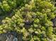 Aerial view of a home surrounded by dense trees, showcasing a serene and private lot at 1961 River Forest Rd, Atlanta, GA 30327