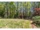 Spacious backyard featuring a lush lawn, mature trees, and an elegant black metal fence at 1227 Magnolia Path Way, Sugar Hill, GA 30518