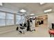 Spacious carpeted basement with exercise equipment and natural light from large windows, perfect for a home gym at 8030 Eagle Lake Vw, Cumming, GA 30028