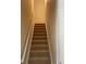Carpeted stairs with white railing providing access to the upper level of the home at 1104 Aqua Shore Dr, Mcdonough, GA 30252