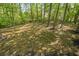 A view of the large back yard surrounded by mature trees at 1331 Windage Sw Ct, Marietta, GA 30008