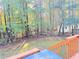 Backyard view from deck, featuring lush trees and lawn, with a peek at a small shed at 128 Brookhaven Ln, Mcdonough, GA 30253