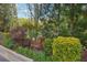 Landscaped front yard showcasing mature trees, colorful bushes, and fresh greenery in a well-maintained garden setting at 358 Nature Brook Se Walk, Smyrna, GA 30082