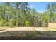 The backyard features newly laid grass and a picturesque view of the surrounding lush green forest at 461 Maypop Ln, Woodstock, GA 30188