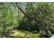 Beautifully landscaped back yard with mature trees and ample green space, perfect for outdoor activities at 2585 Acorn Ne Ave, Atlanta, GA 30305