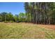 Spacious backyard features lush green grass and privacy with a wooded tree line at 4059 Yellow Creek Trl, Cumming, GA 30028