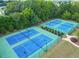 Aerial view of well-maintained tennis courts surrounded by lush landscaping and greenery at 4580 Cloister Cir, Hampton, GA 30228