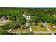 Panoramic aerial view of a residential neighborhood with mature trees and well-manicured lawns at 925 Wynn Rd, Mcdonough, GA 30252