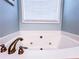 Close up of a soaking tub with brushed gold fixtures and natural light from a window at 925 Wynn Rd, Mcdonough, GA 30252