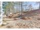 Wooded backyard featuring mature trees creating a sense of privacy and natural beauty at 4089 Palm Dr, Snellville, GA 30039