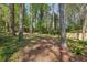 Spacious backyard surrounded by mature trees offers privacy and a tranquil outdoor retreat at 1015 S Candler St, Decatur, GA 30030