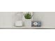 Bathroom nook with stylish decorations, a plant, and modern soap at 432 Carrera Ln, Acworth, GA 30102