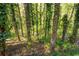 A tranquil backyard scene, showcasing towering trees in a wooded area at 4140 Westchester Ne Xing, Roswell, GA 30075