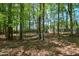 Wooded backyard with trees and a privacy fence at 210 Mels Way, Stockbridge, GA 30281