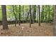 A partially fenced in backyard offering some privacy at 2912 Pathview Ln, Marietta, GA 30062