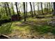 View of the lush backyard with a small red shed, mature trees and green grass at 3867 Cherie Glen Rd, Snellville, GA 30039