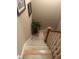 Carpeted staircase with white risers and wooden railing, lit from above at 278 Mission Oak Se Dr, Grayson, GA 30017
