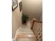 View of carpeted staircase with a wood railing and trim, leading to the upper level at 278 Mission Oak Se Dr, Grayson, GA 30017