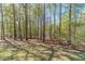 Secluded backyard with mature trees, offering a tranquil escape and plenty of natural shade at 3775 Belle Glade Trl, Snellville, GA 30039