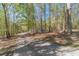 A long, paved driveway leading up to a home surrounded by tall trees, providing seclusion at 3775 Belle Glade Trl, Snellville, GA 30039