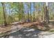 Long paved driveway leading to a picturesque home nestled among lush trees at 3775 Belle Glade Trl, Snellville, GA 30039