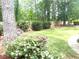 Serene backyard with mature trees, blooming flowers, and a well-manicured lawn at 1081 Talon Trce, Lawrenceville, GA 30043