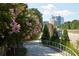 Scenic walking path lined with flowering trees and views of the city skyline at 1059 Dryden Ln # 11, Atlanta, GA 30319