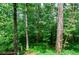 Lush backyard showcasing mature trees and natural landscaping, creating a serene environment at 4503 Rivercliff Sw Dr, Lilburn, GA 30047