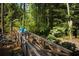 Picturesque walking trail with wooden bridge, lush greenery, and serene natural setting at 602 Redbud Ter, Canton, GA 30115