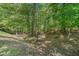 Wooded backyard with mature trees creates a private, serene outdoor space at 629 Gold Valley Pass, Canton, GA 30114