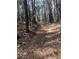 Scenic wooded area with walking trails and natural beauty, ideal for outdoor enthusiasts at 629 Gold Valley Pass, Canton, GA 30114