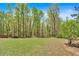 Lush green backyard with mature trees and ample space for outdoor activities at 7801 Windswept Way, Douglasville, GA 30135