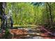 Picturesque backyard features lush greenery, ideal for outdoor activities and enjoying the natural surroundings at 1326 Benbrooke Nw Ln, Acworth, GA 30101