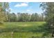 Wide shot of an expansive green field with a horse, bordered by trees and a charming fence-lined perimeter at 1819 Yorkshire Dr, Woodstock, GA 30189
