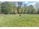 Picturesque pasture with lush green grass and a charming white fence; perfect for horses at 1819 Yorkshire Dr, Woodstock, GA 30189