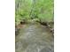 A tranquil stream meanders through a wooded area, offering a serene and natural environment at 1819 Yorkshire Dr, Woodstock, GA 30189