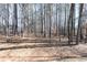 Expansive backyard with mature trees providing ample shade and privacy at 4557 Waldens Farm Ct, Powder Springs, GA 30127