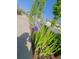 Beautiful flower accentuates the lush landscaping and sidewalk in front of the homes at 89 Little Magnolia Ln, Auburn, GA 30011