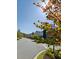 Quaint street view featuring sidewalks lined with blossoming trees and charming homes, evoking a peaceful neighborhood atmosphere at 89 Little Magnolia Ln, Auburn, GA 30011