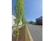 Landscaped street view with lush green trees and manicured lawn at 89 Little Magnolia Ln, Auburn, GA 30011