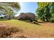 Manicured backyard featuring lush green grass and mature trees surrounding the property at 50 S Underwood Dr, Covington, GA 30016
