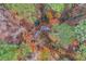 Overhead shot of an autumn forest with a glimpse of a creek weaving through the colorful foliage at 918 Guinevere Way, Lilburn, GA 30047