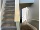 Carpeted staircase with white railings leading to the basement entryway at 202 Gamel Rd, Dallas, GA 30157