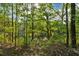Tranquil view of home overlooking a wooded area, perfect for nature lovers at 290 Magnolia Walk Ln, Atlanta, GA 30349