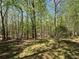 View of a wooded backyard providing privacy and a connection to nature at 5668 Blanchard Pl, Sugar Hill, GA 30518